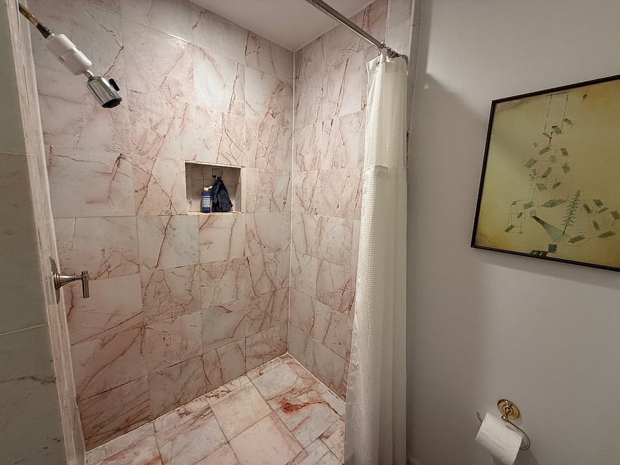 Primary shower with water filtration.