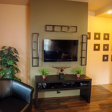 This picture is obsolete.......We now have a 65" ROKU TV in this livingroom !!!  Comfy leather couch with Chaise - OCD Clean - private Off street parking - 24/7 emergency response