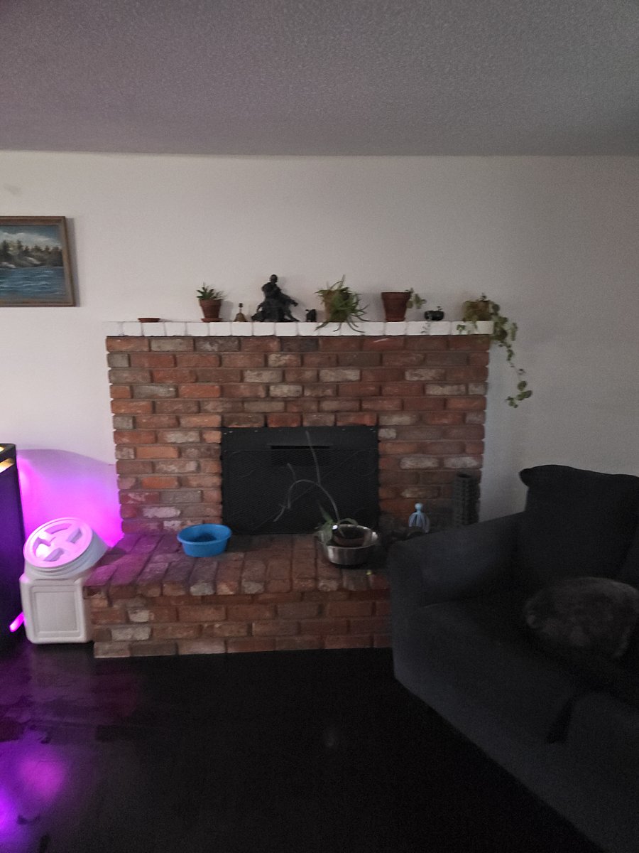 Furnished Finder property 905289_1 photo 9