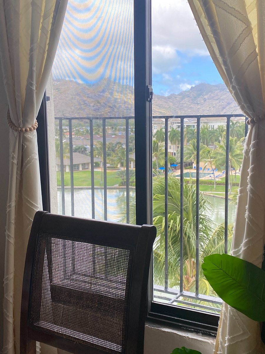 View from dining room