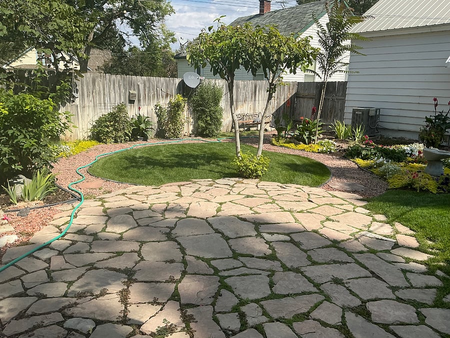 Back yard