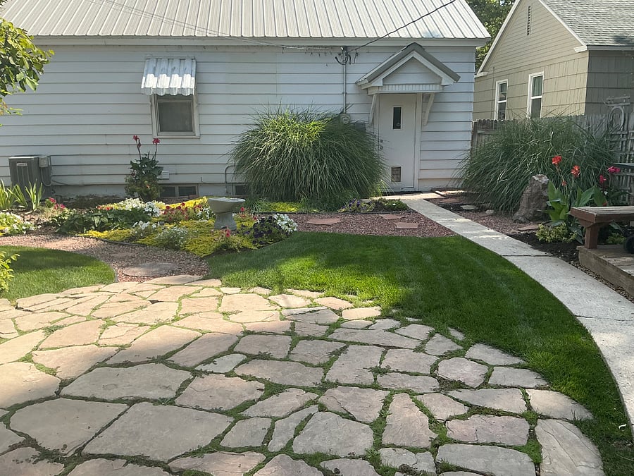 Back yard 
