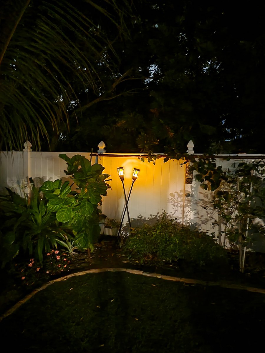 Backyard at Night