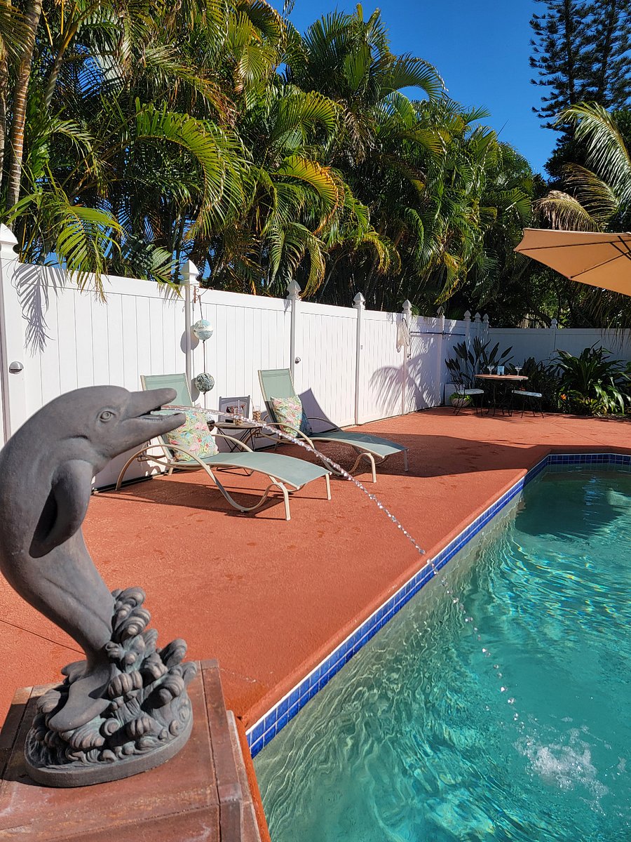 Dolphin Fountain