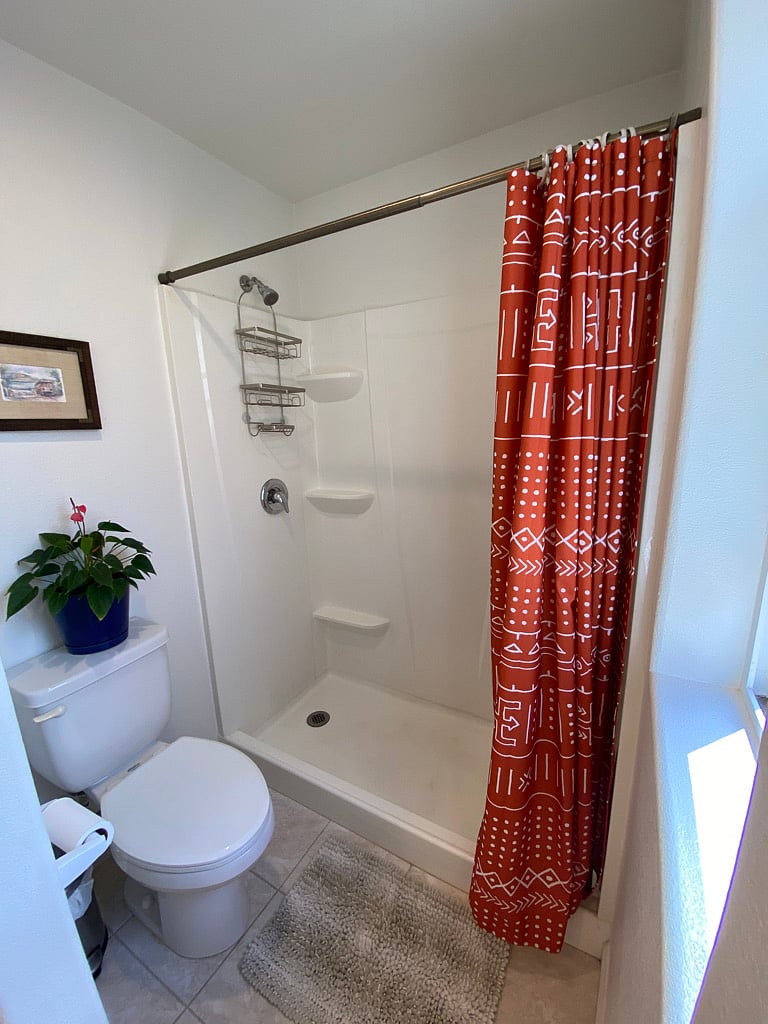 Master bath shower