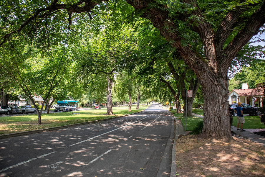 Renown Elmhurst Neighborhood