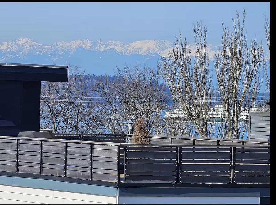 view from dining area on roof