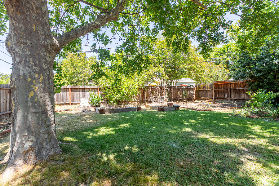 Backyard