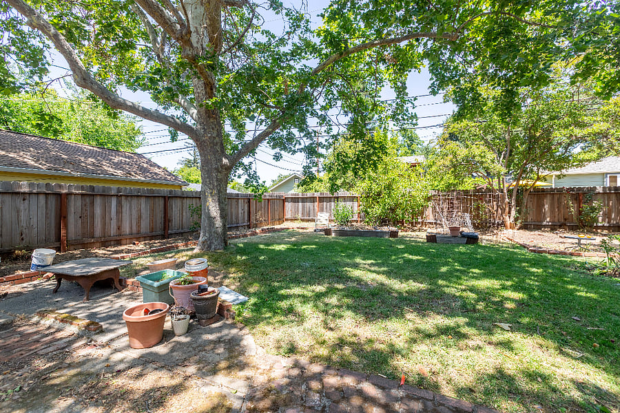 Backyard
