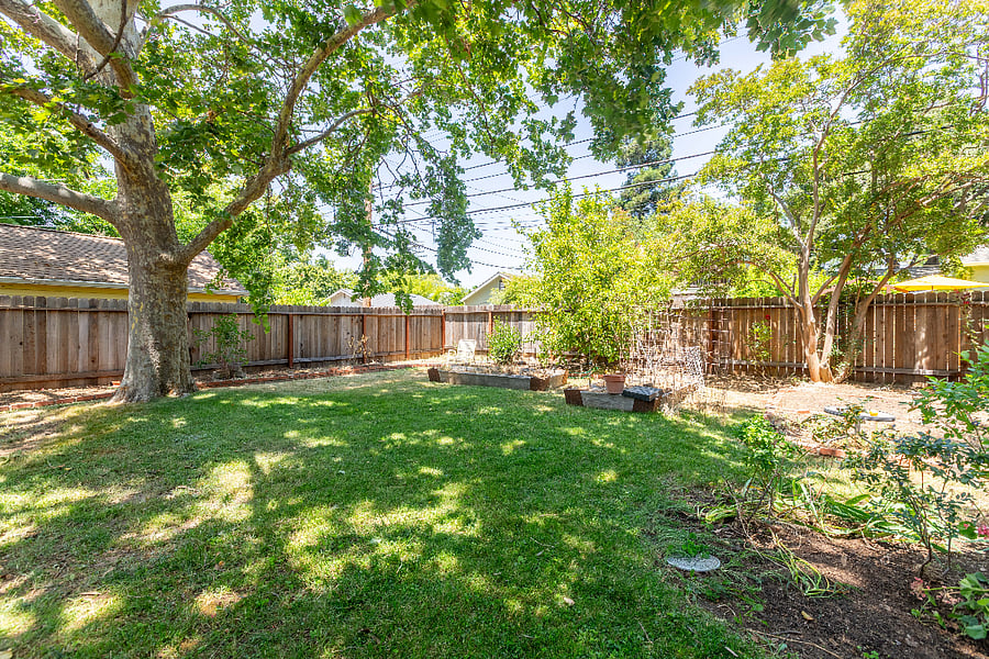 Very large backyard: Shared