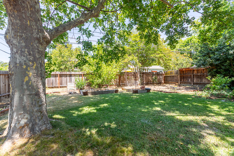 big backyard: shared