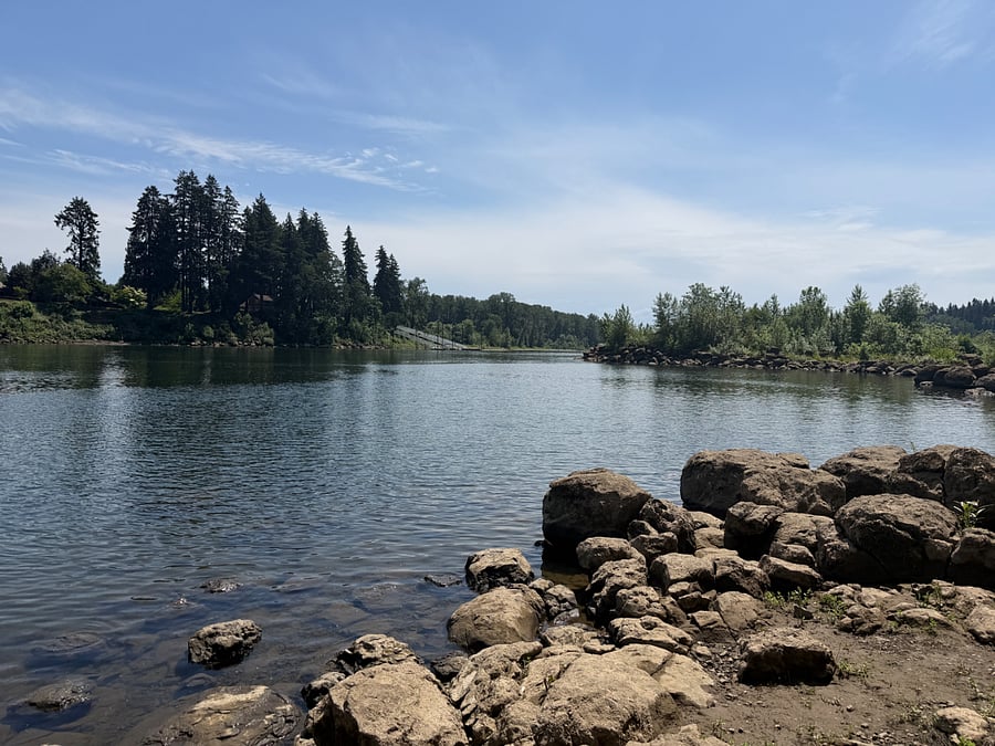 Easy walk down to the Willamette River through beautiful Mary S Young Park