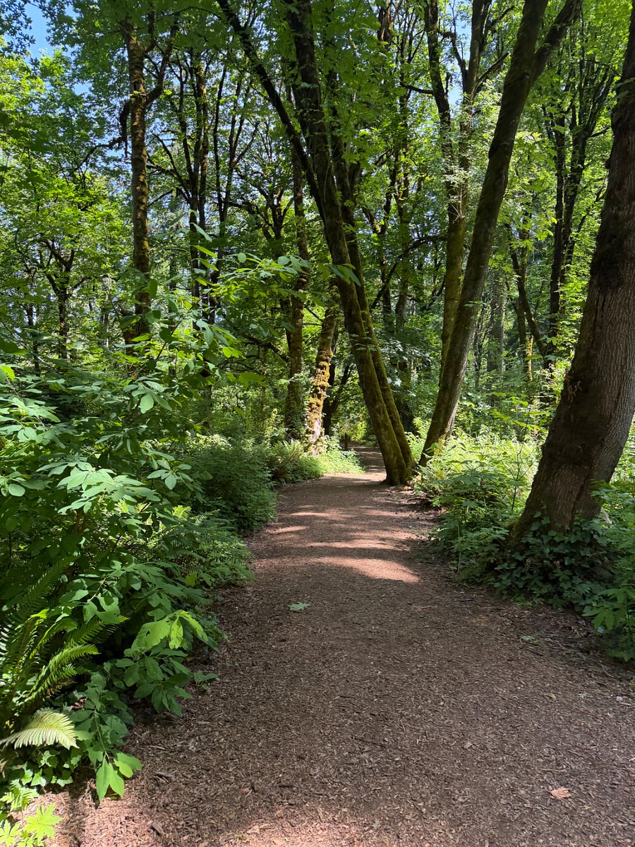 Mary S Young Park
