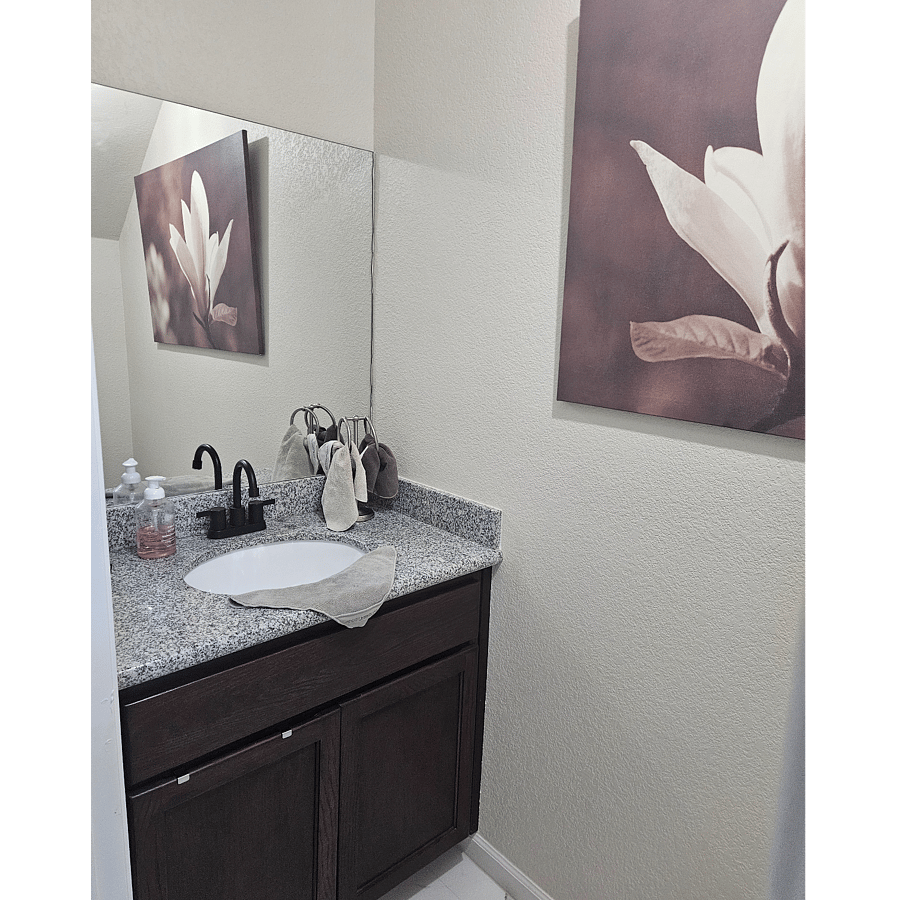 Downstairs Half Bathroom
