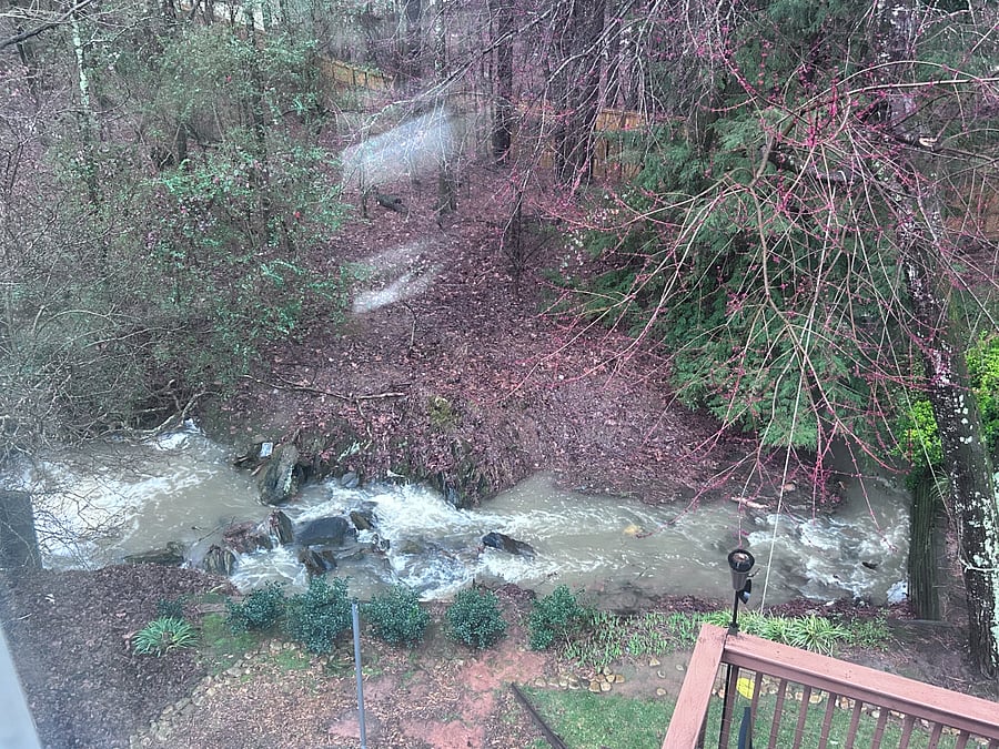 Backyard creek