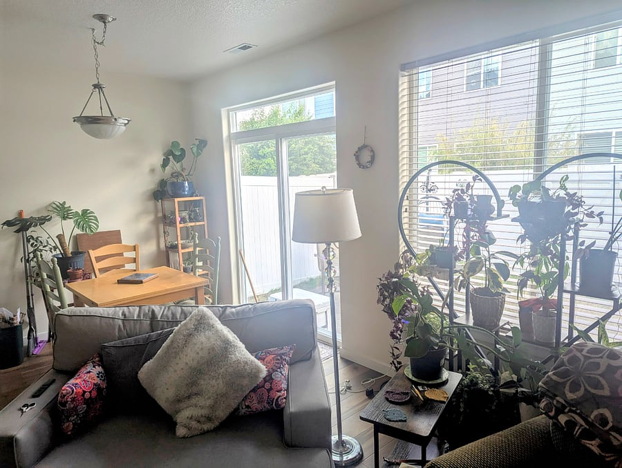 Living/dining - backyard access