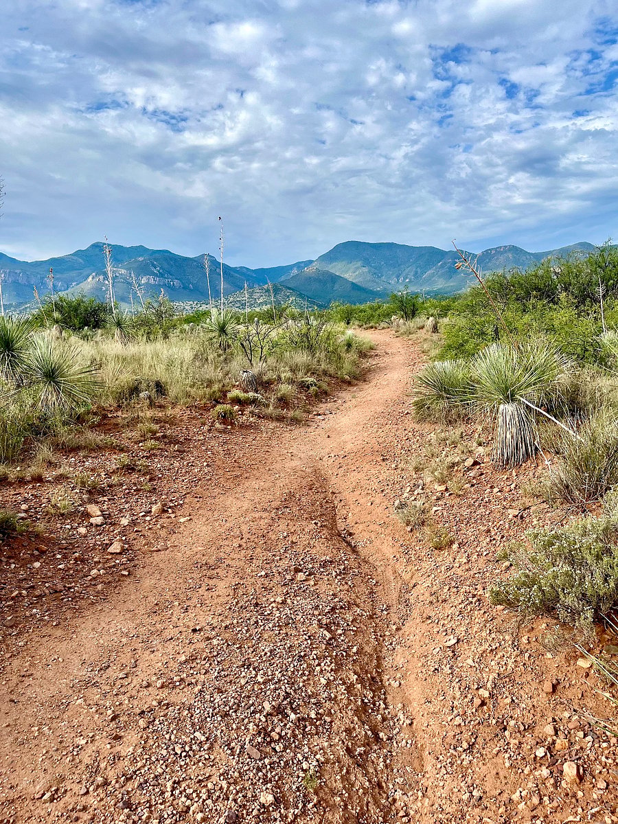 Path behind house