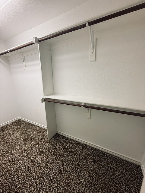 Walk in Upstairs Bedroom Closet