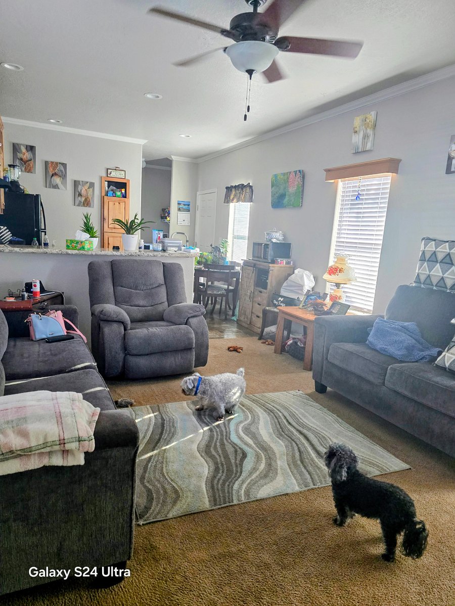 Furnished Finder property 906179_1 photo 3