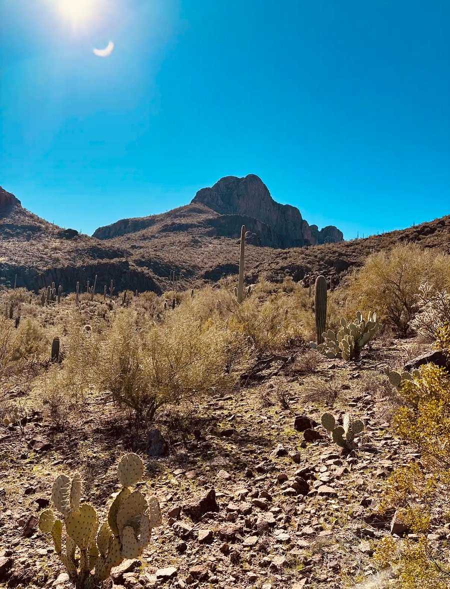 Saguaro National Park only one mile away.