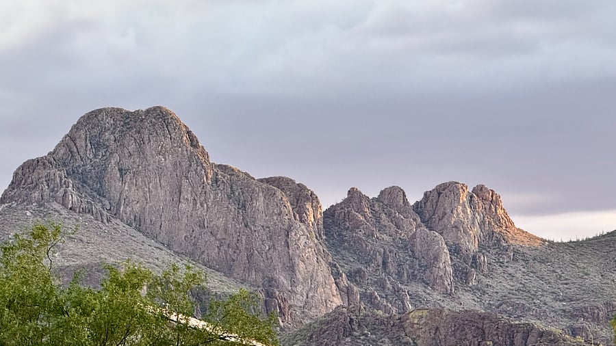 View from the neighborhood.