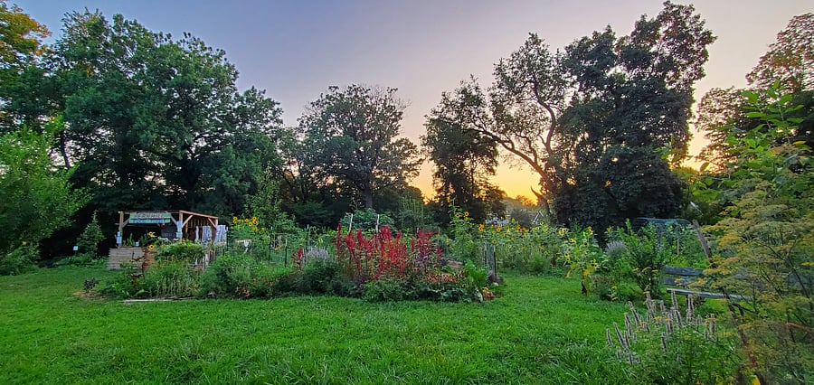 Fernhill Park, 10 minute walk, has a food forest that the neighborhood grows and harvests together