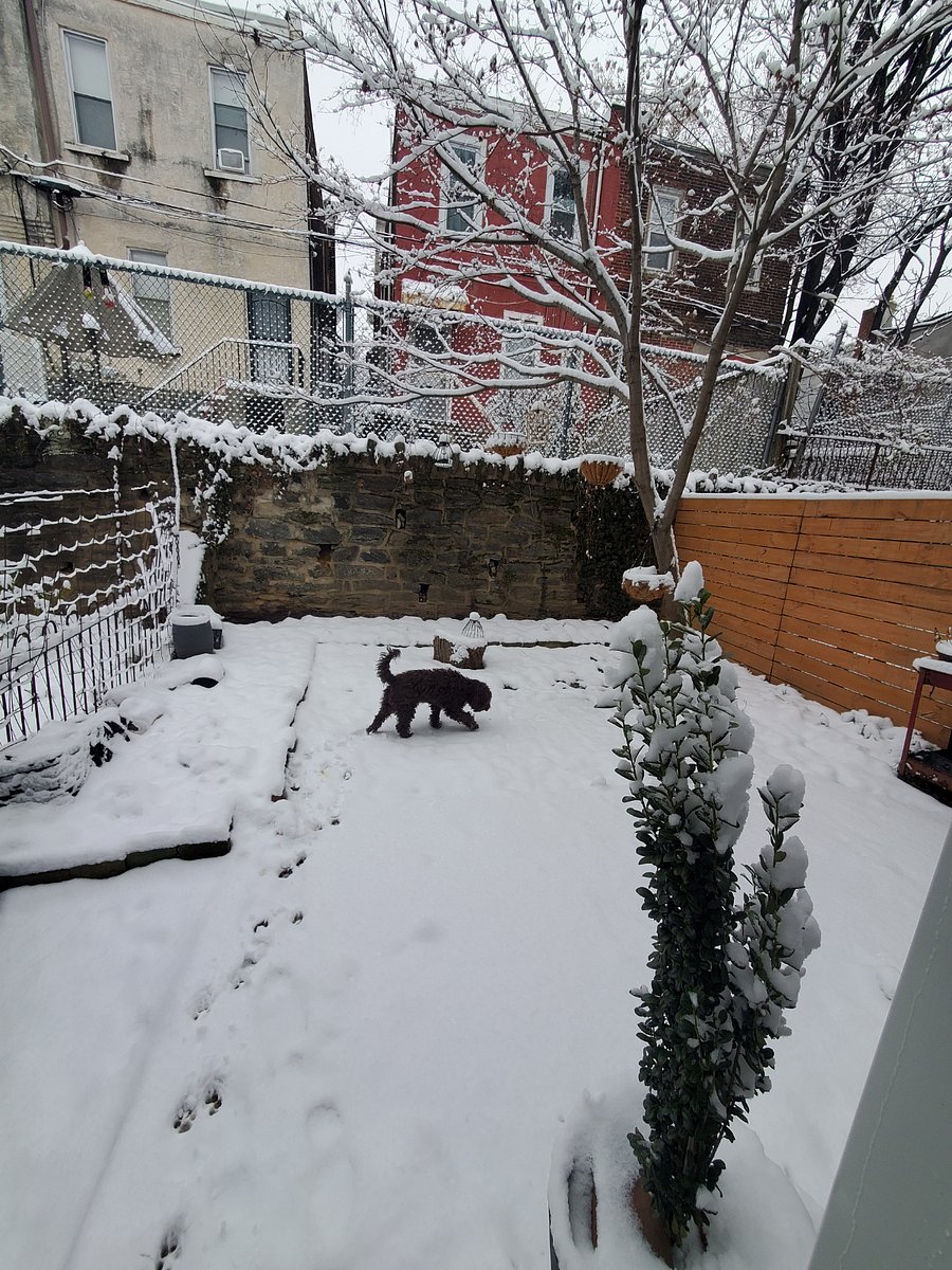Backyard in the snow! Quite different but still lovely  