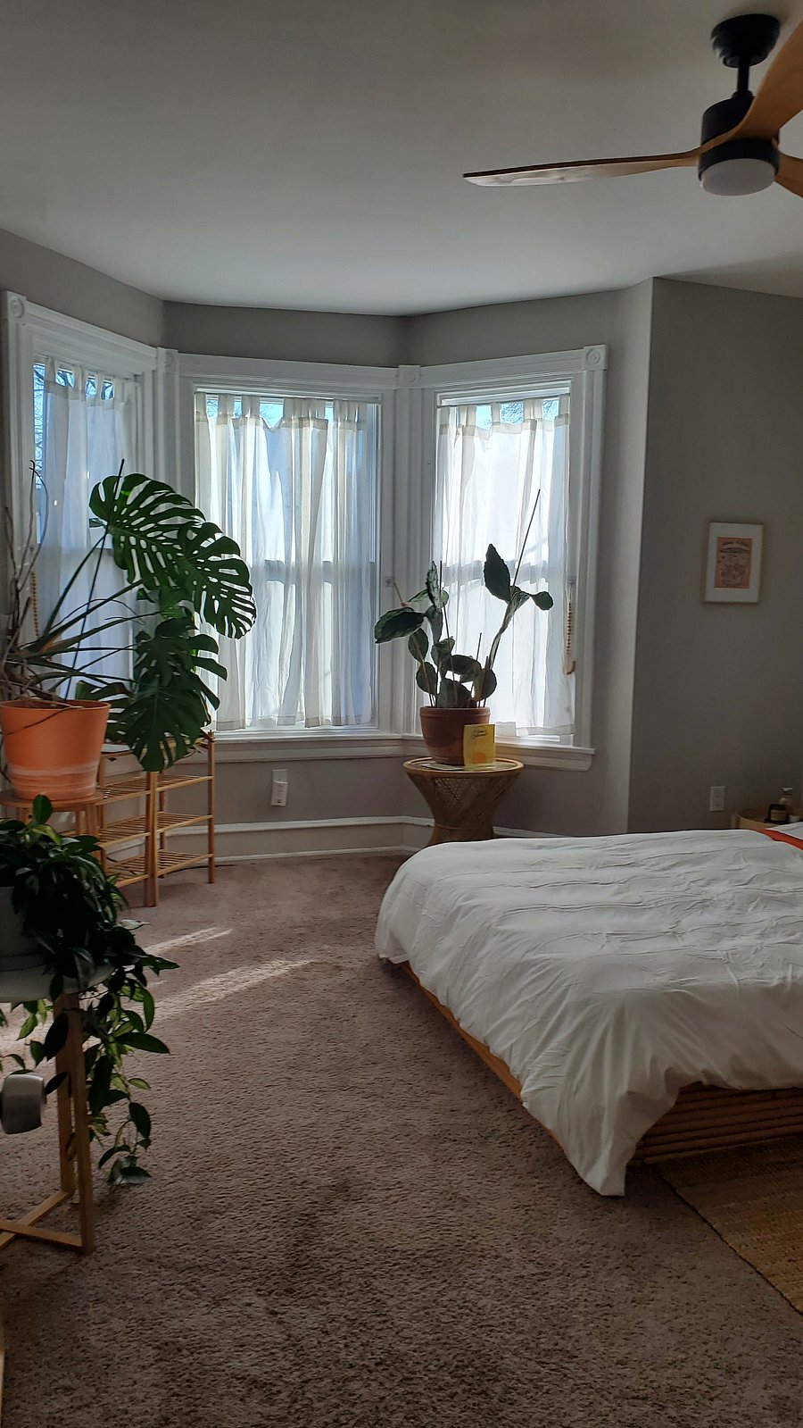 Furnished Finder property 906812_1 photo 32