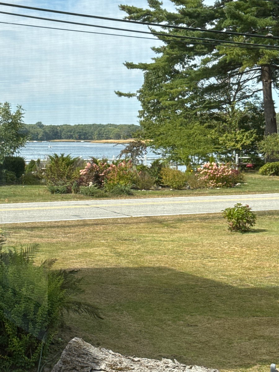 Spectacular view looking out to the river. 