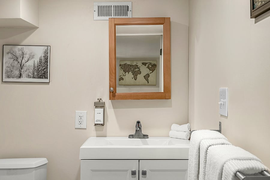 Downstairs bathroom with shower
