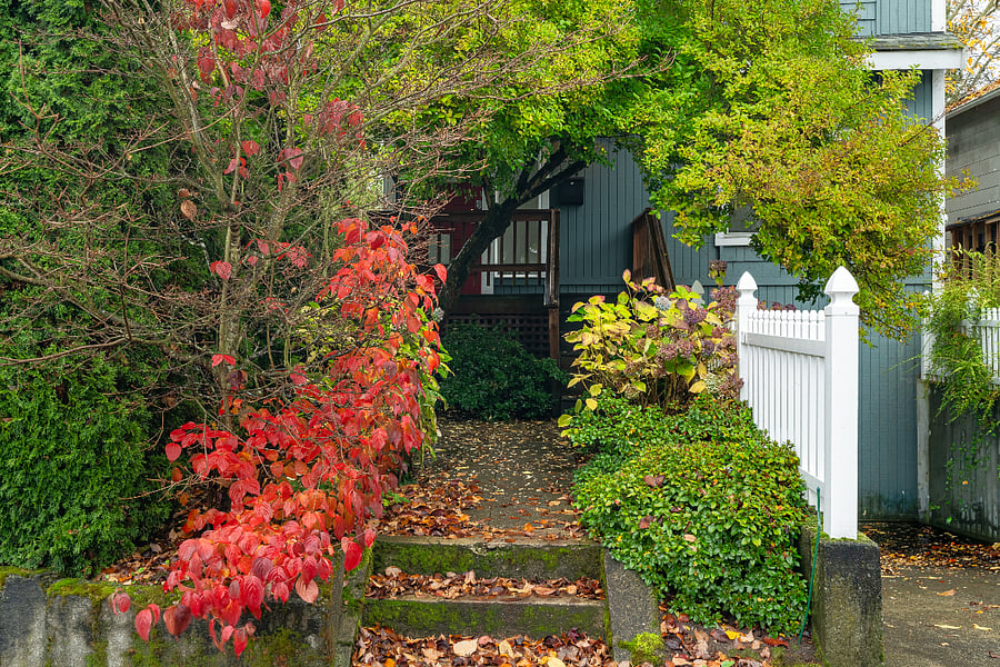 There are two sets of 4 steps to get to the front door