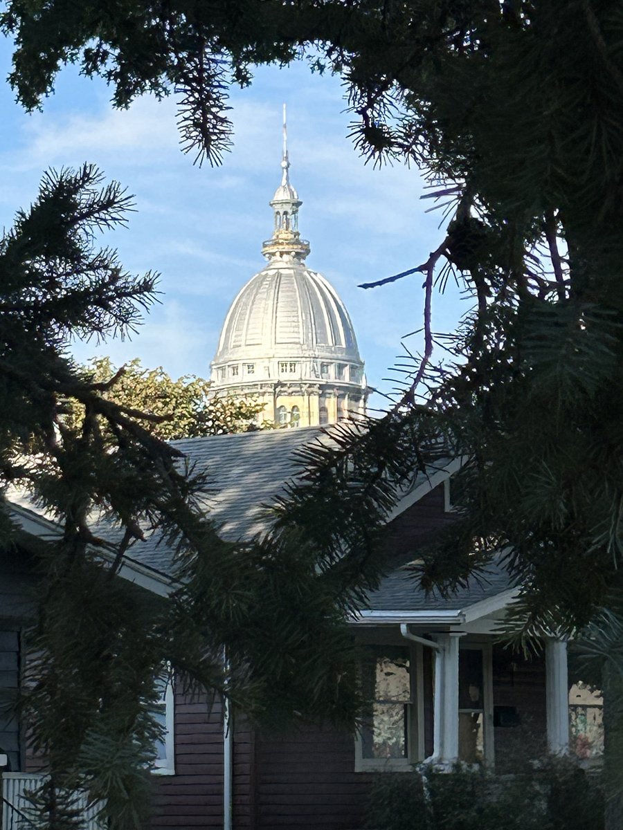3 Blocks From The Capitol, Which Can Be Seen Through the Trees. 