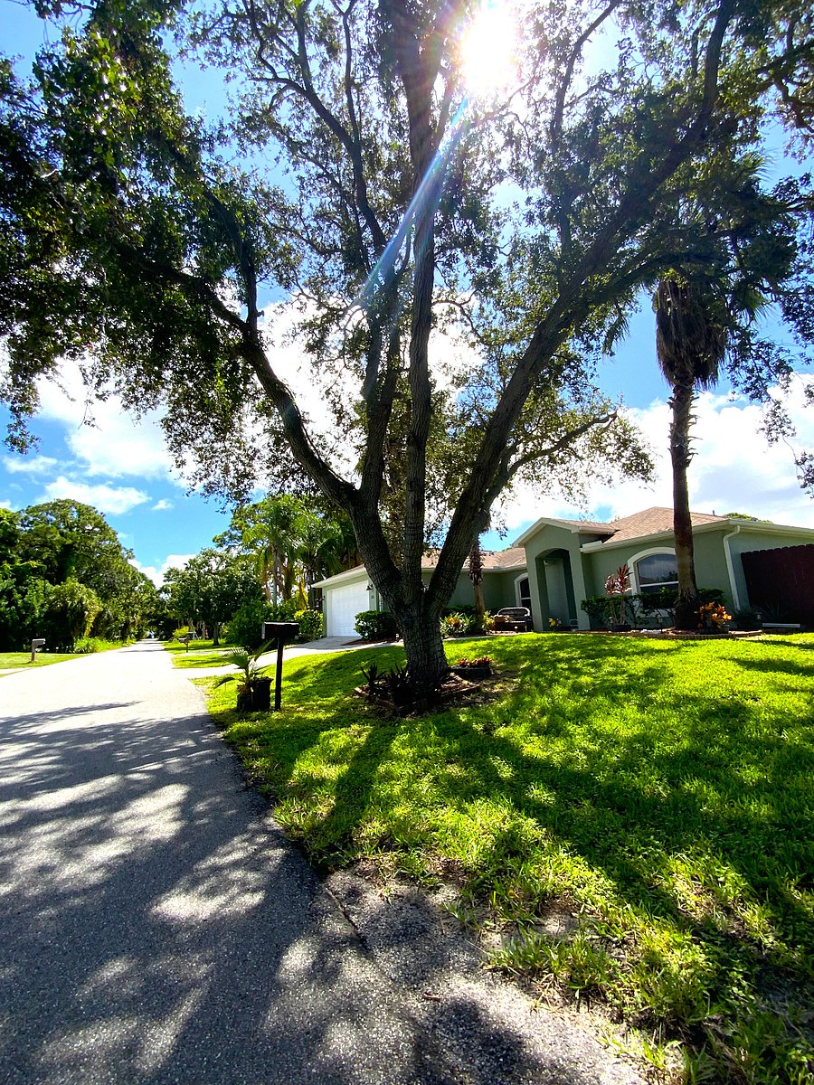 Furnished Finder property 907142_1 photo 26