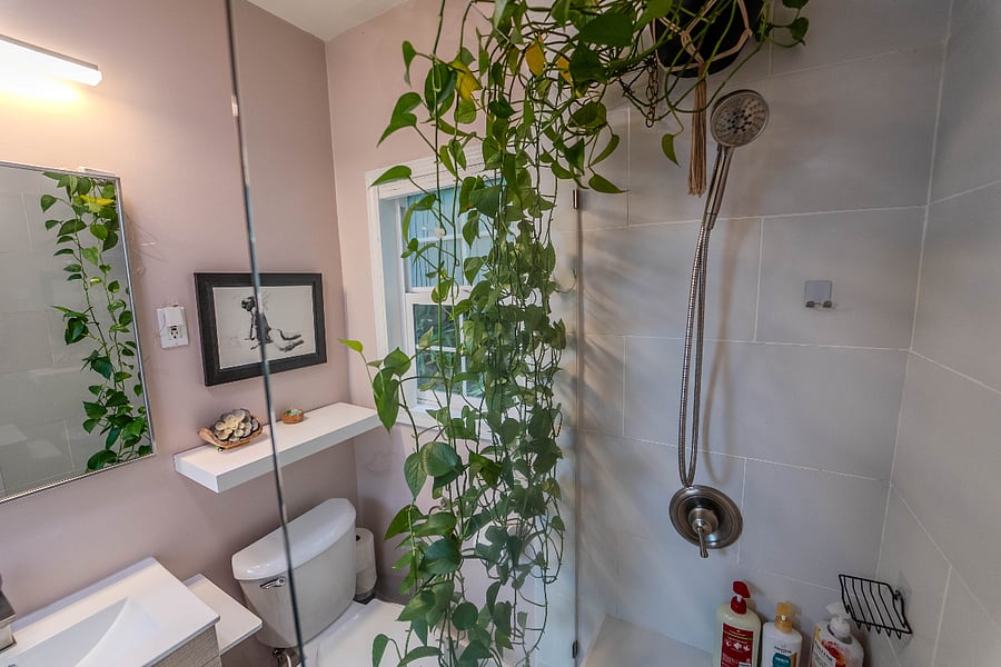 Newly renovated bathroom with glass wall shower