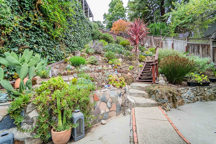 Front succulent garden