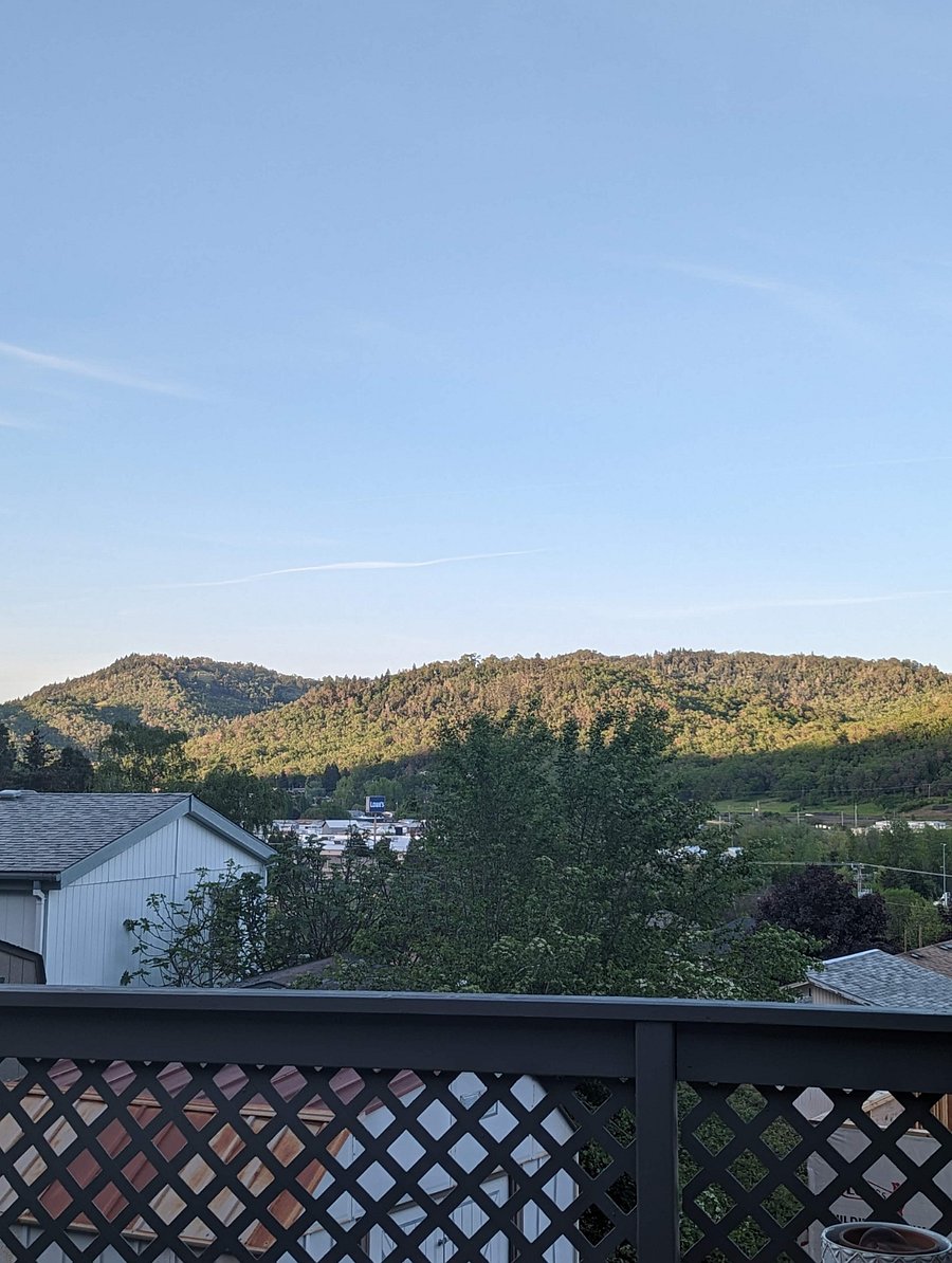 View from the back porch