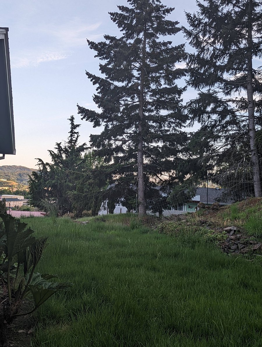 Side yard