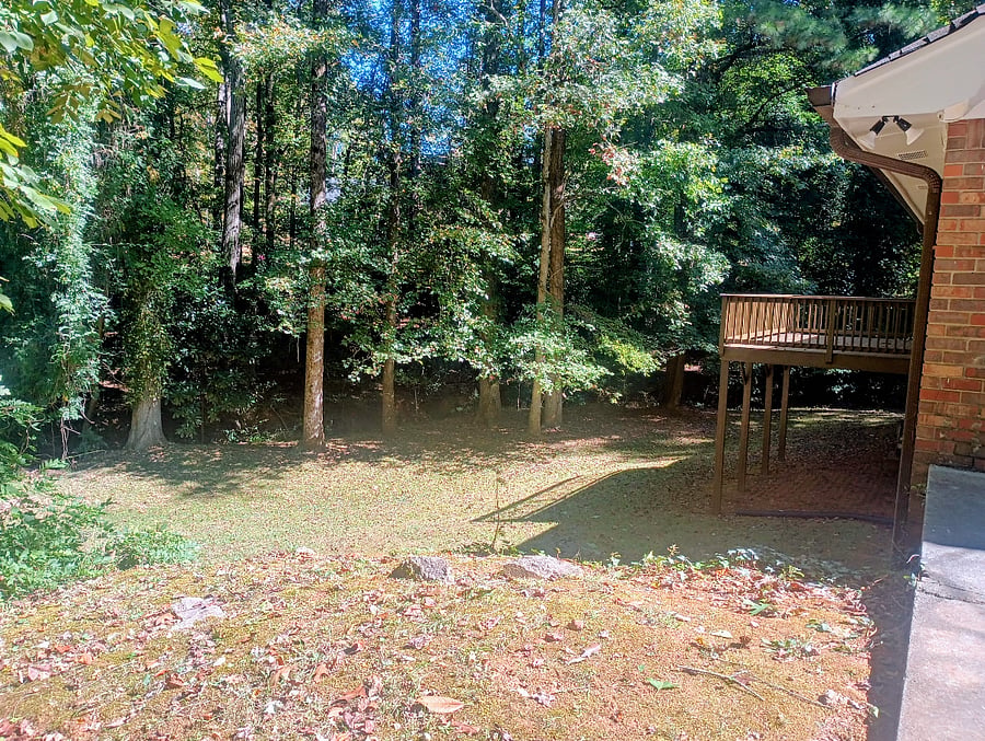 Private landscaped yard