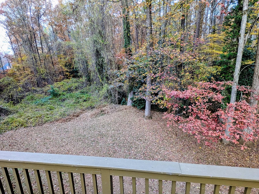 Private landscaped yard
