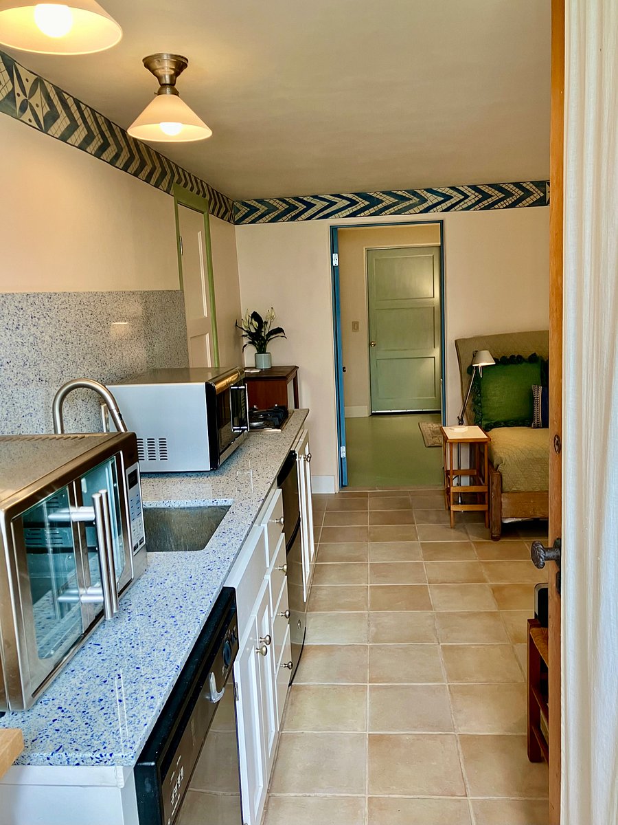 Great looking kitchenette, w/ Cuisinart micro, Miele burners, Oster Oven, Cusinart Sorbet, etc. and beautiful New Zealand countertop of re-cycled blue glass chip terrazzo = snazzy!