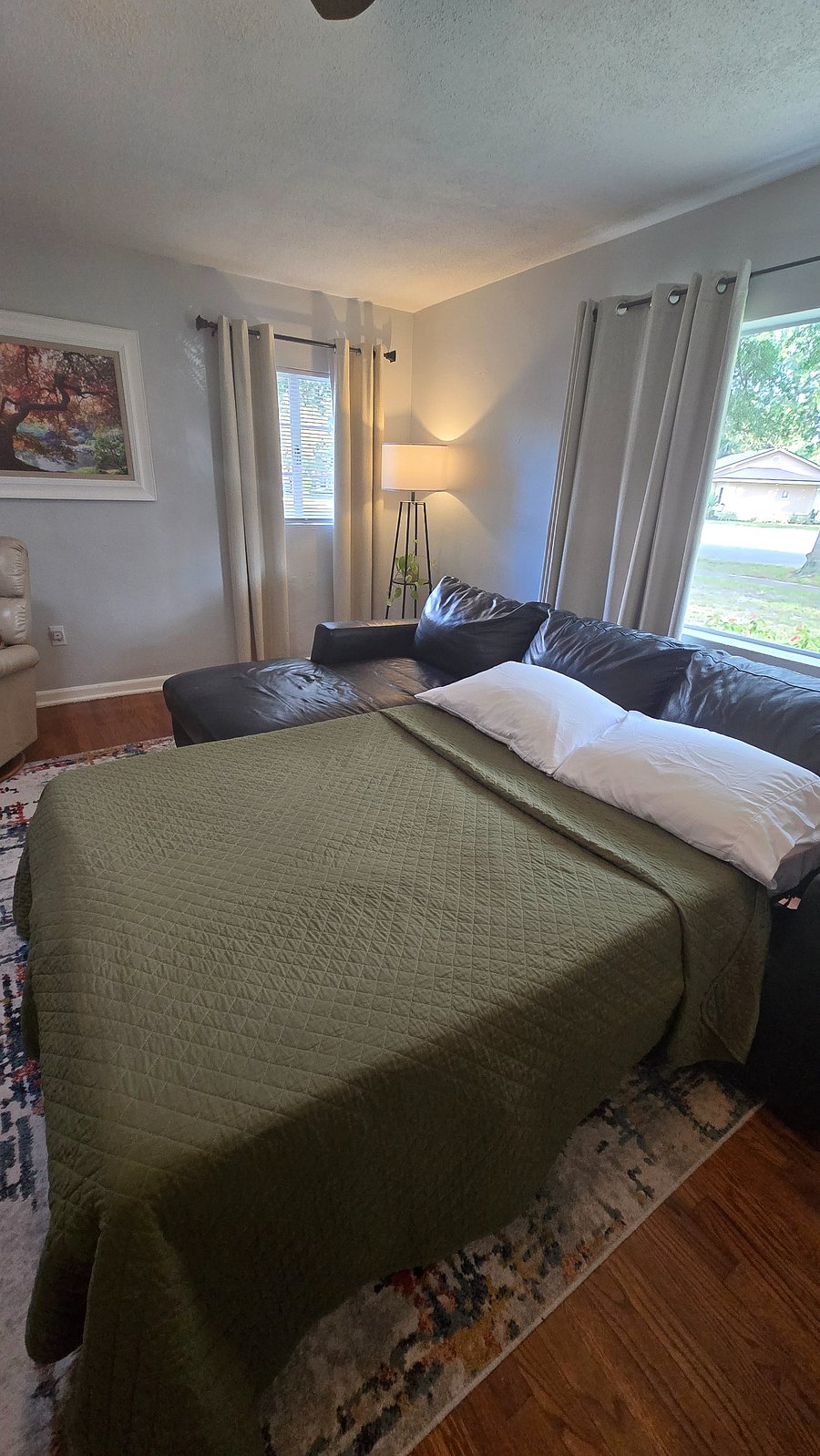 pull out sofa bed in living room