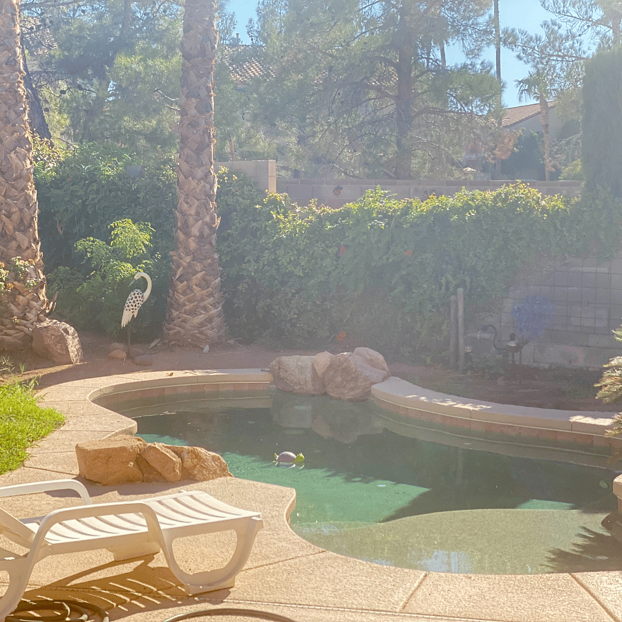 POOL/Spa