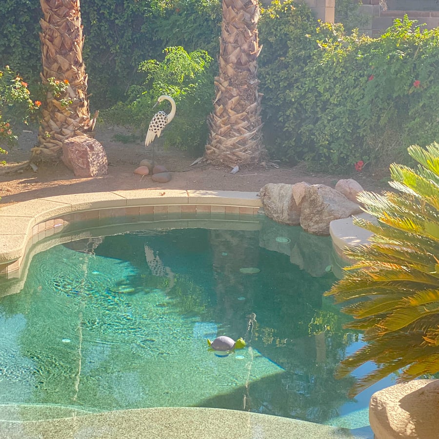 Pool/spa