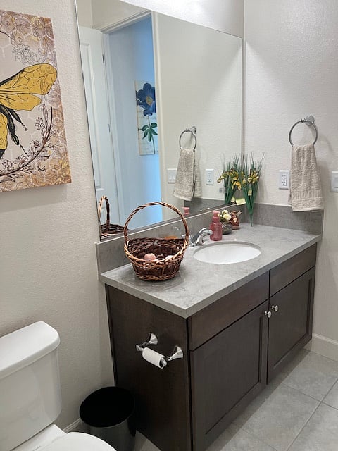 Guest Bathroom Sink