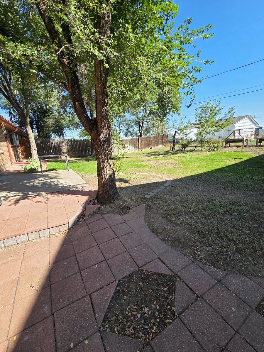 Spacious fenced backyard