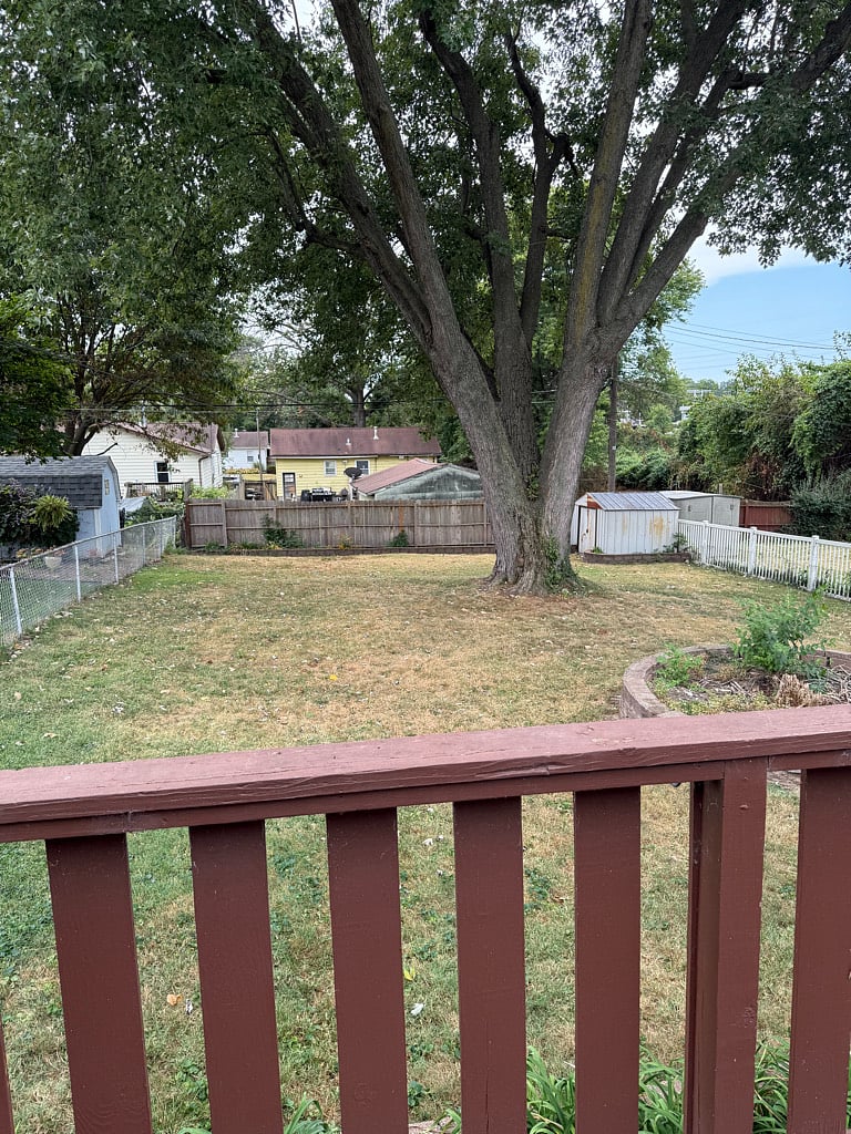 Backyard (view from deck/back door)