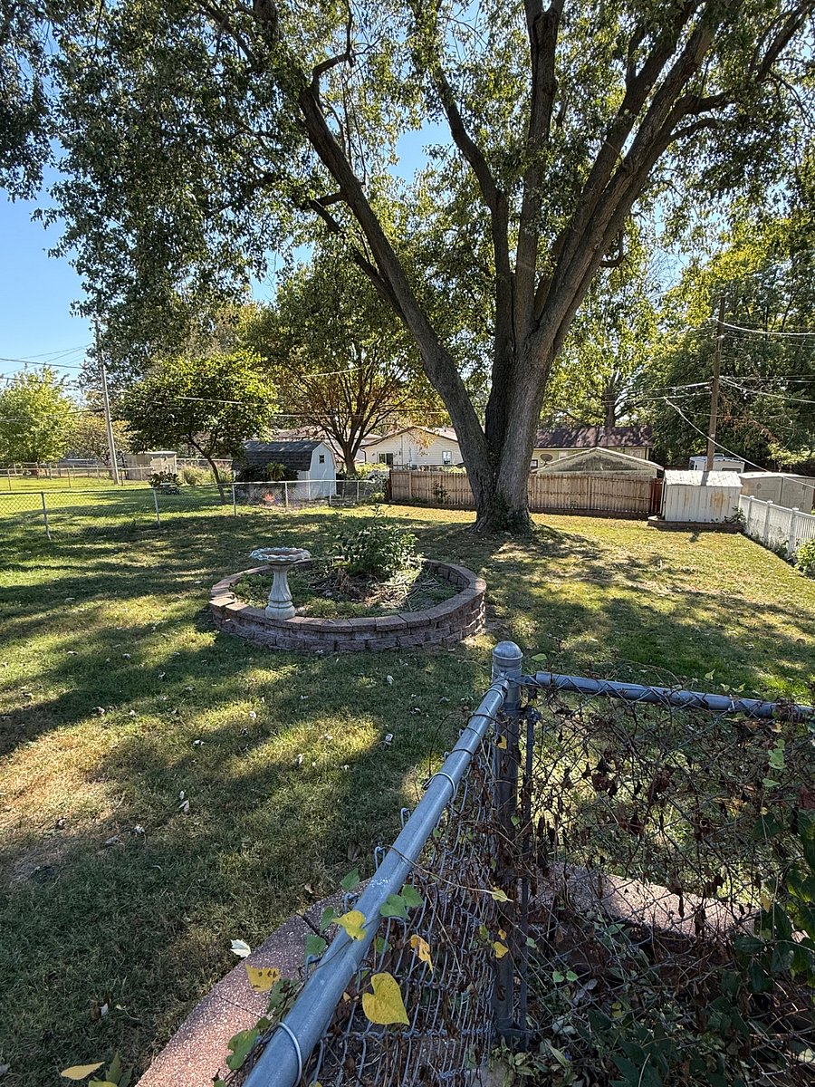 Backyard (view from driveway)