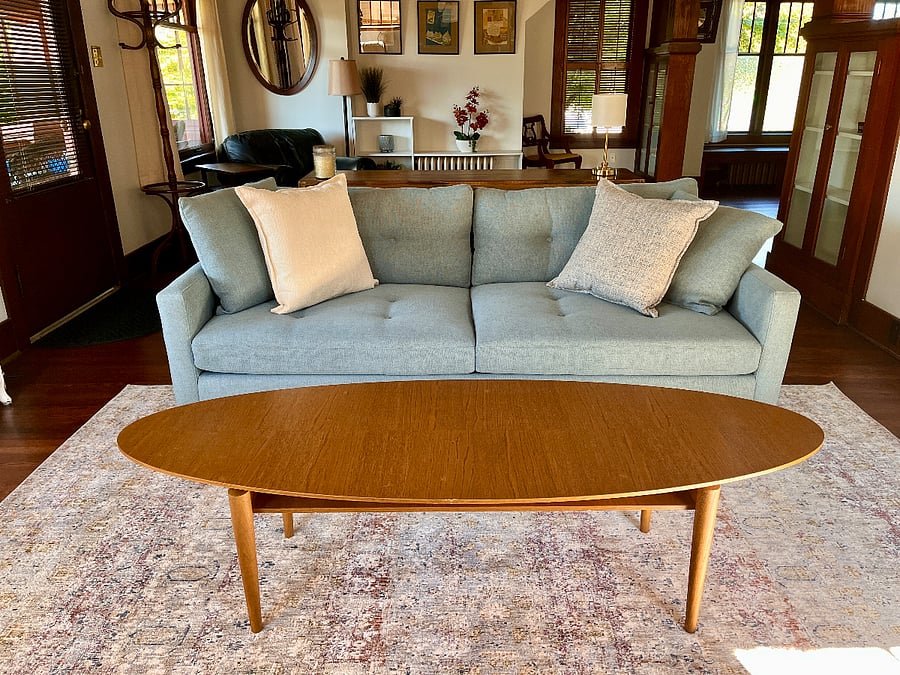 Living room couch and MCM coffee table