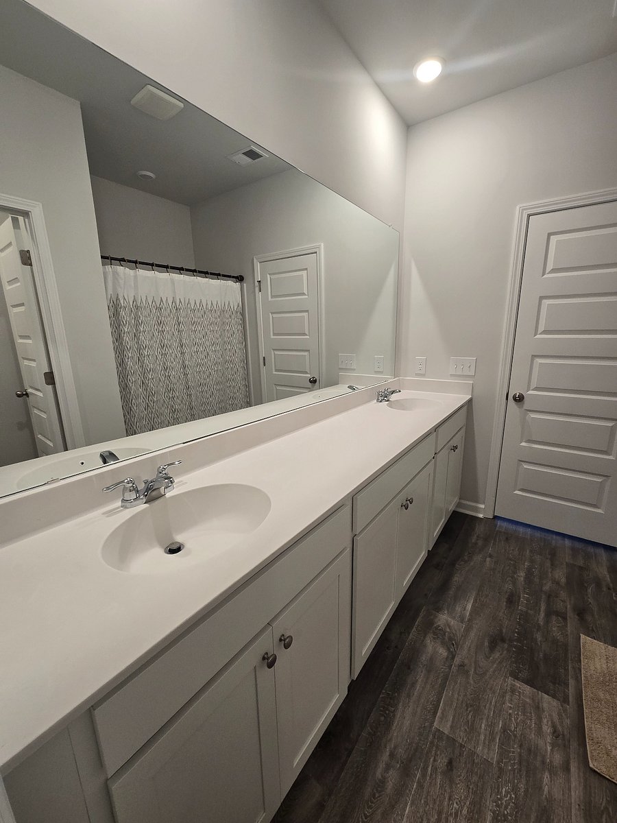 Dual sinks and shower