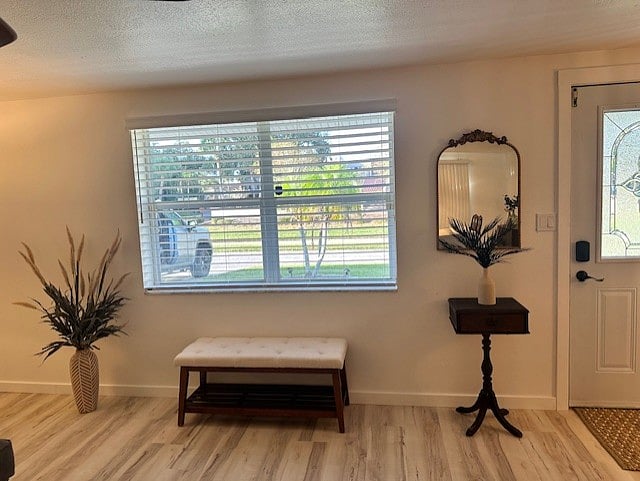 Living Room Window